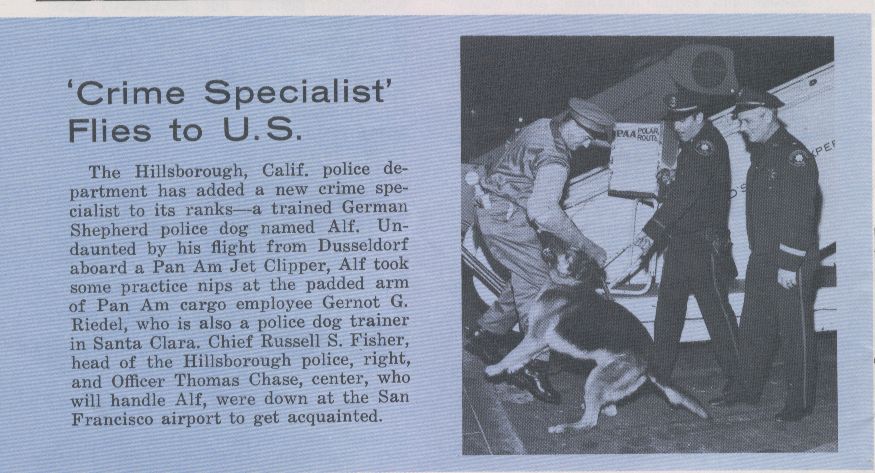 1960s  A police dog flies Pan Am